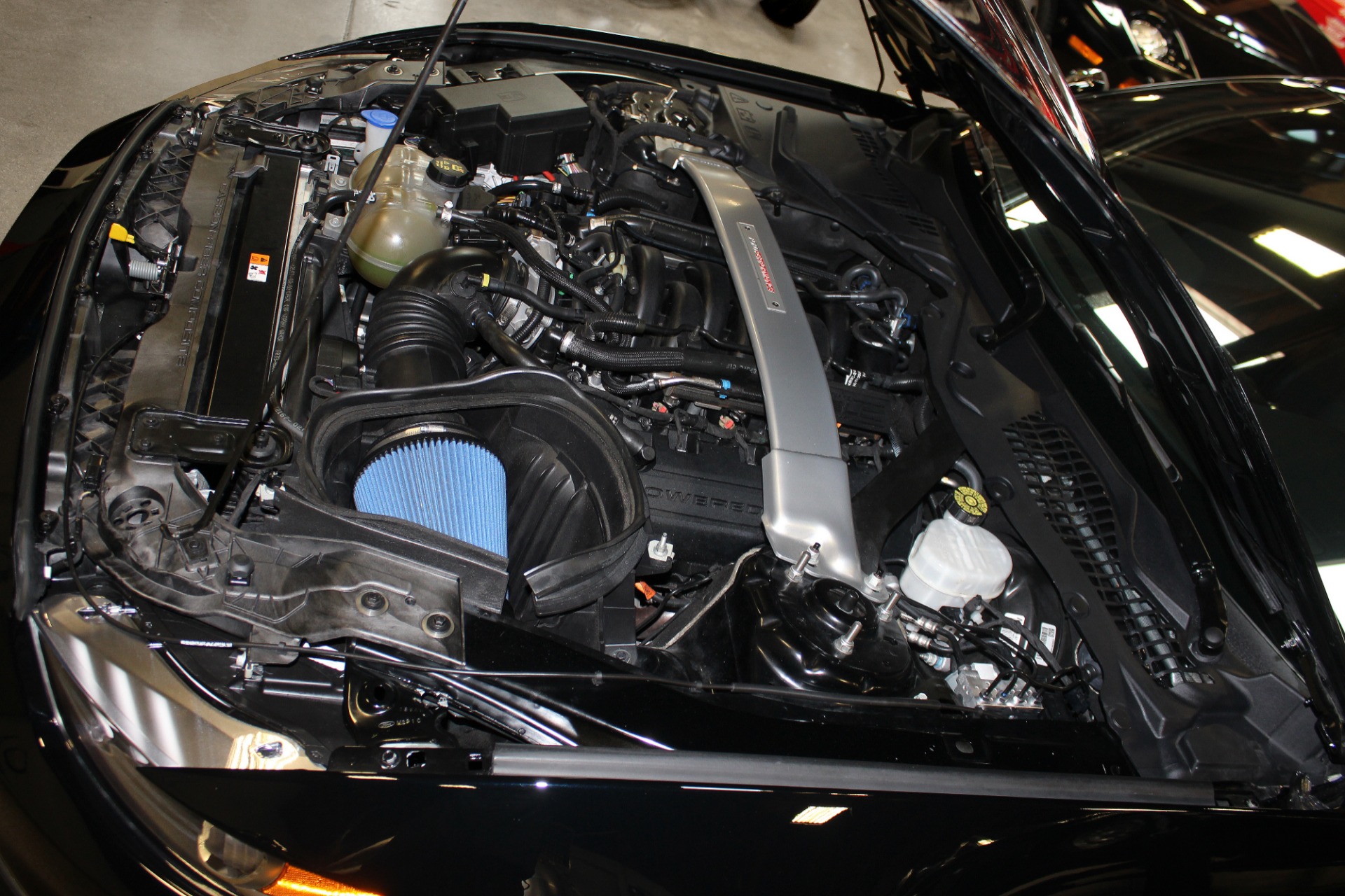 Used 2020 Ford Mustang Shelby GT350 For Sale ($69,995) | San Francisco